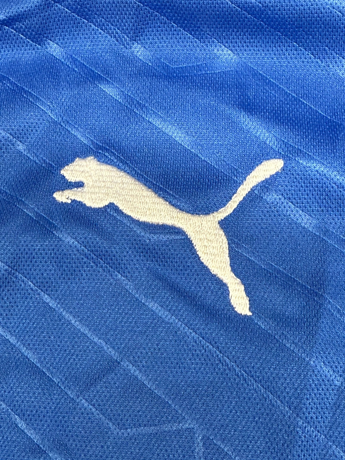 maglia italia Cassano Euro 2013 Europei Jersey home XL player issue Puma shirt