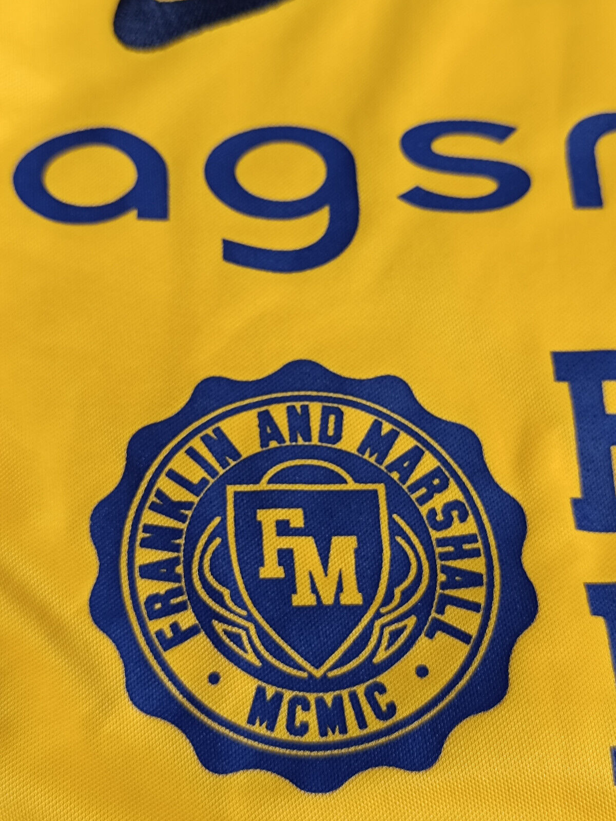 maglia calcio vintage Hellas Verona 2013 2014 Toni Nike Third shirt S Agsm