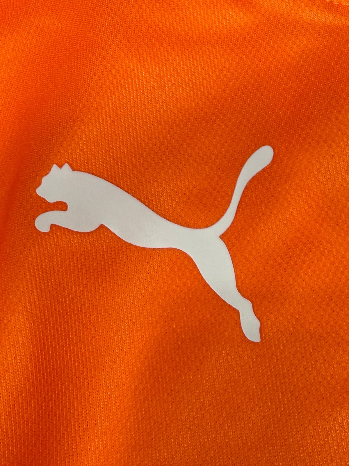 maglia calcio vintage Italia Puma Buffon Italy Brasil PLAYER World Cup 2014 L