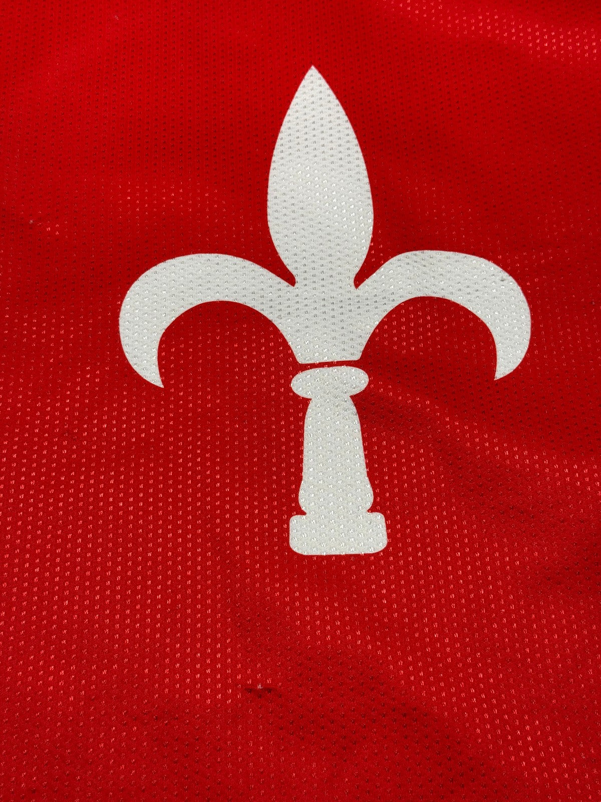 maglia calcio vintage Triestina #10 Asics 1997 1998 trikot XL