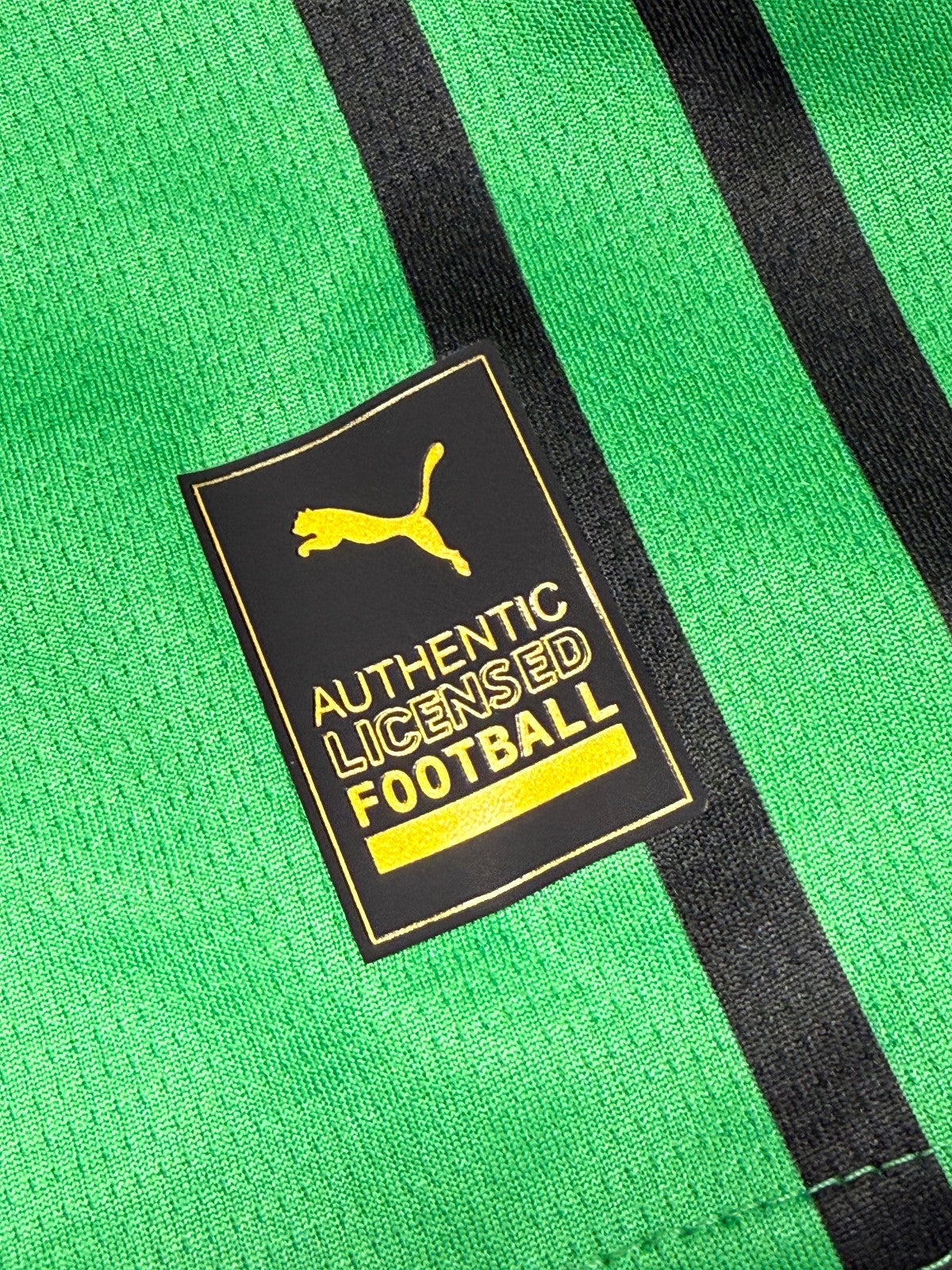 Maglia calcio US SASSUOLO Berardi #10 Serie A 2025 2026 Puma PLAYER VERSION