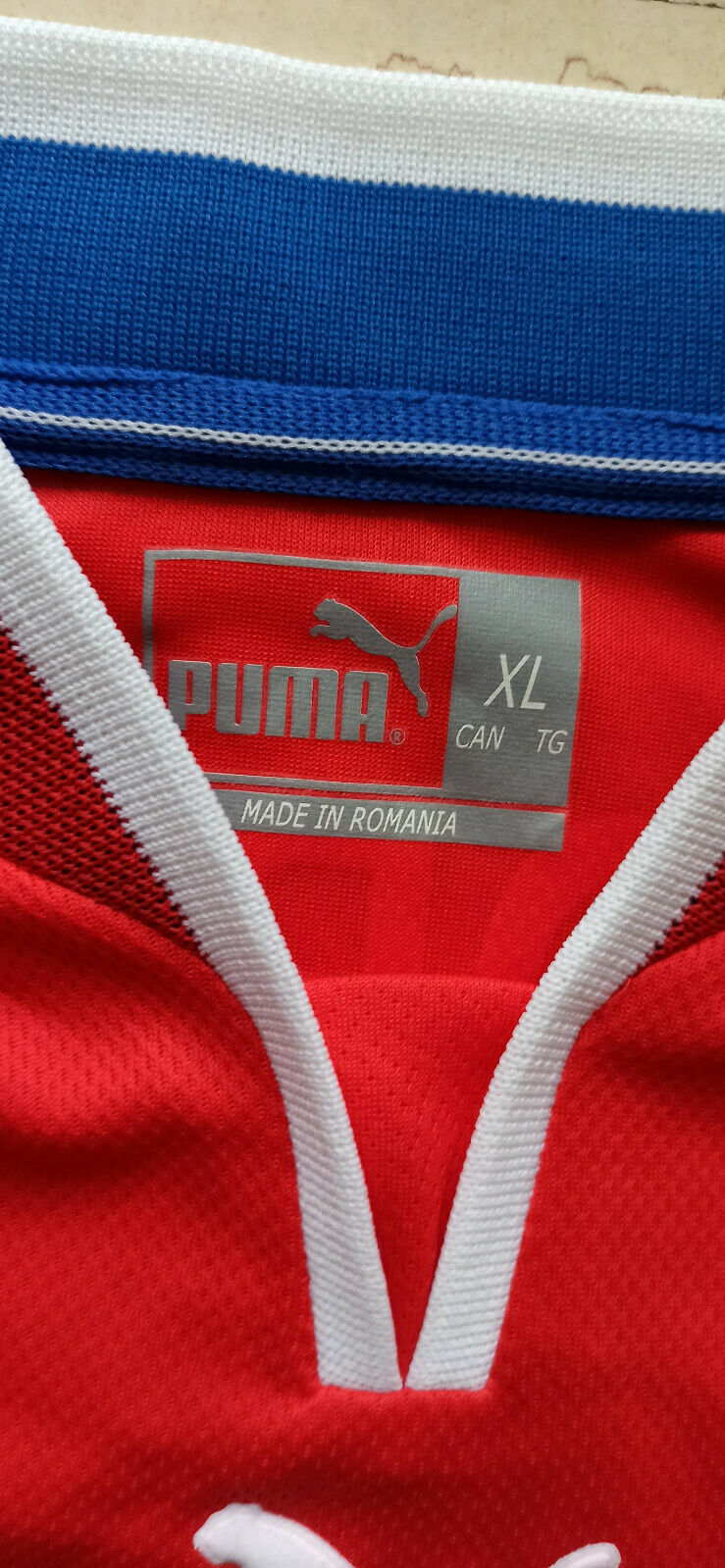 maglia calcio Match worn Czech Republic HORAK player issue 2000 Puma